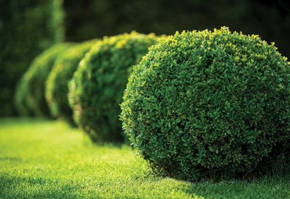 Aménagement de jardin - Aménagement Paysages Caen