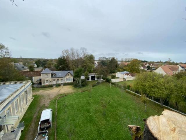 Entretien jardin