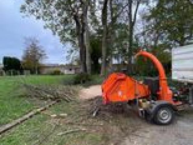 Travaux de demontage pour un arbre mort cause maladie situe a douvres la delivrande