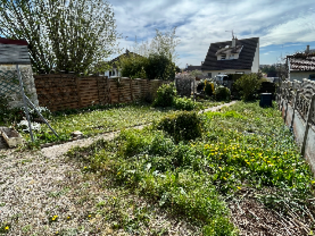 Remise en etat d'un jardin laissé en friche par l'entreprise Nature concept