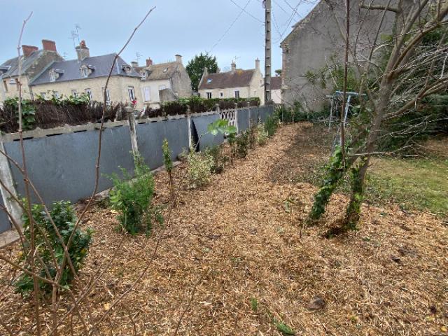 Suppression d'une haie de thuya avec dessouchage à Courseulles sur mer