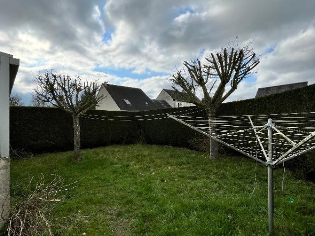 Entretien d'une haie / Taille d'une haie de tuya à Creully sur seulles